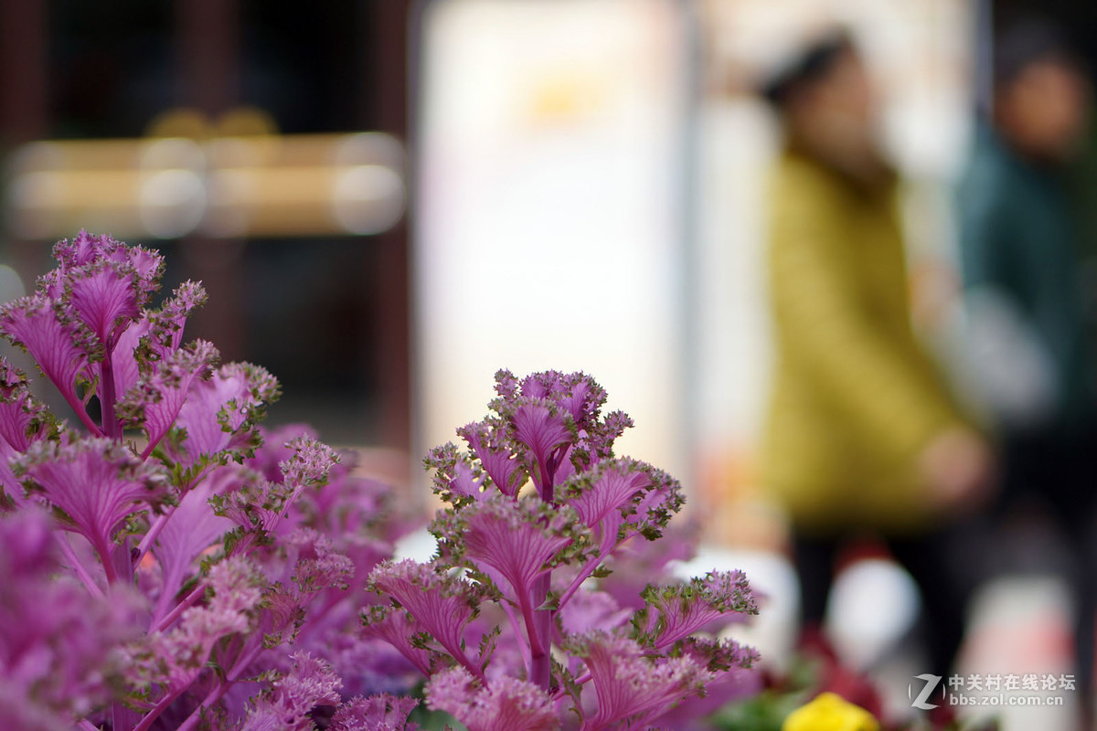 春暖花开