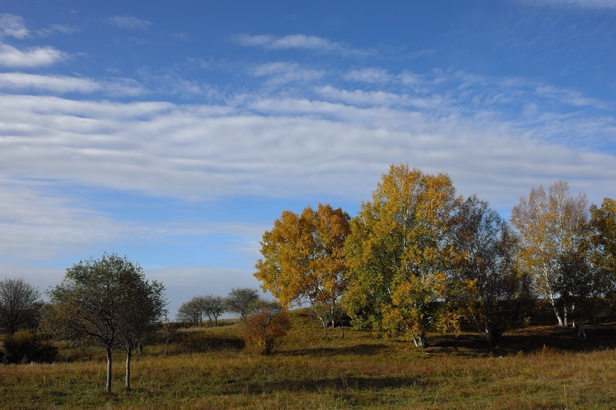 青花绿翡金镶玉