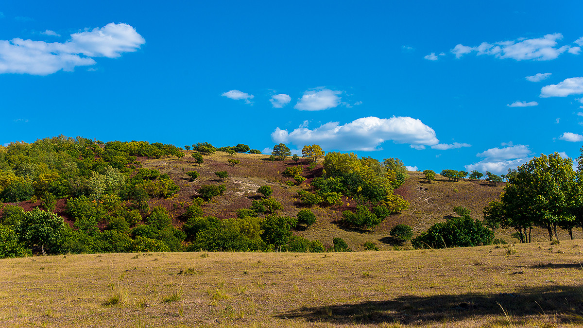 笑婆婆坝上行----蓝蓝的天上白云飘