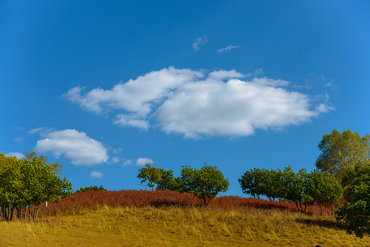 笑婆婆坝上行----蓝蓝的天上白云飘