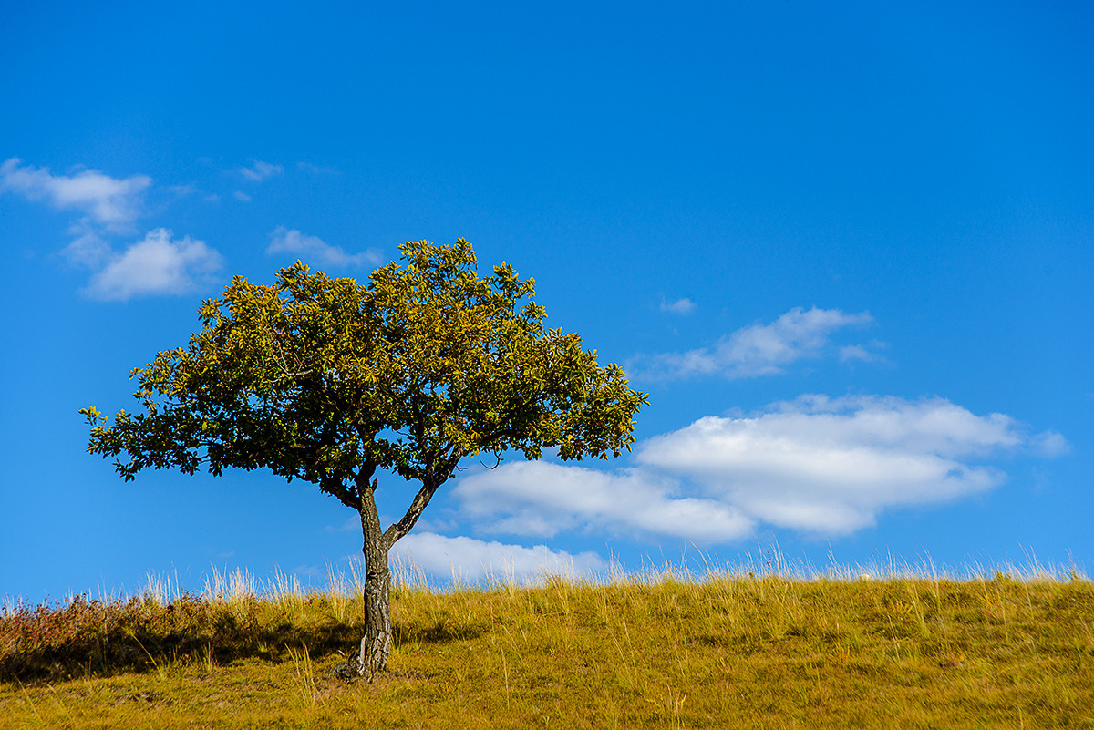 笑婆婆坝上行----蓝蓝的天上白云飘
