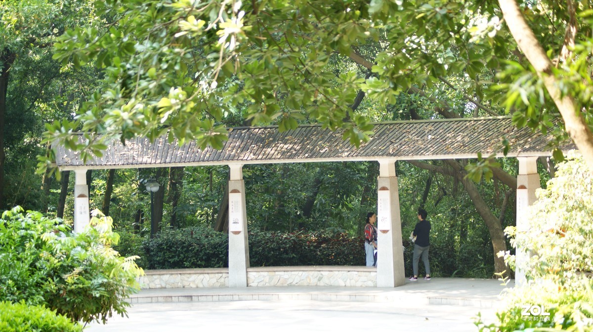 望牛亭公园之《曲径小路》