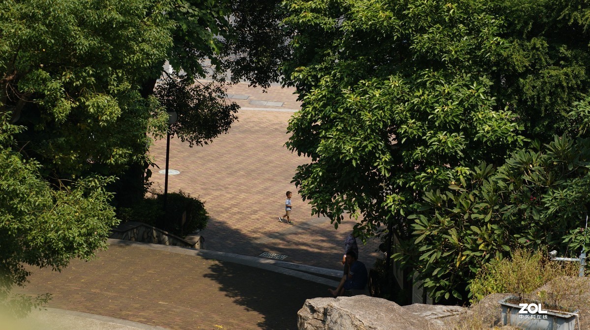 望牛亭公园之《曲径小路》