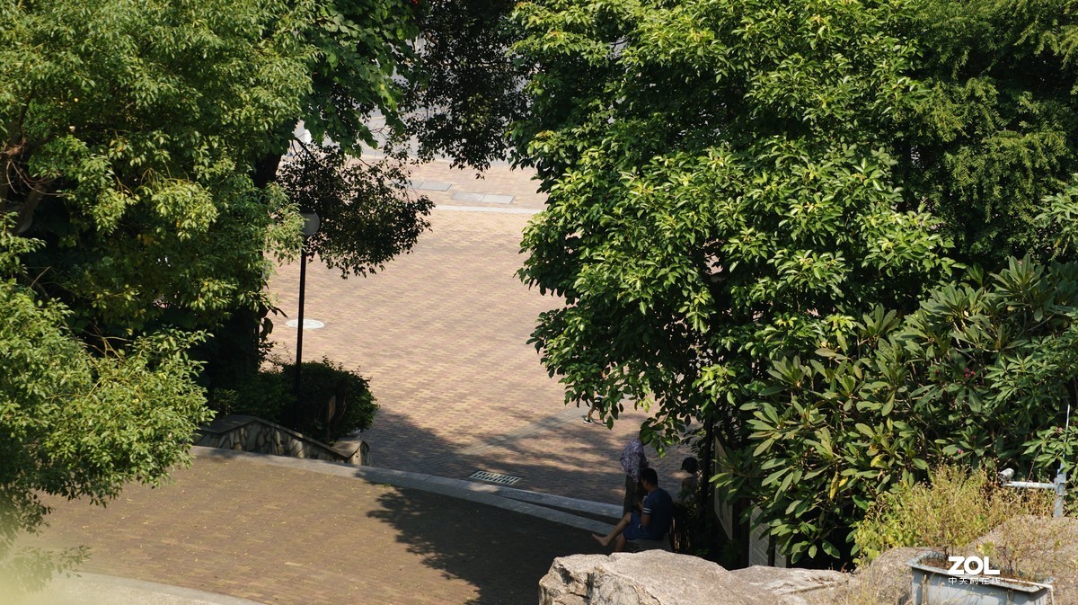 望牛亭公园之《曲径小路》