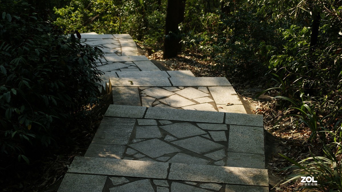 望牛亭公园之《曲径小路》