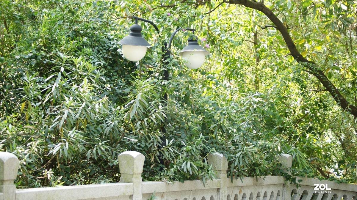 望牛亭公园之《曲径小路》