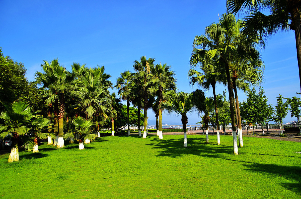 携一组《城市风光》祝日照星空(中国)一周年同时祝三位版主和摄友们拍摄快乐！