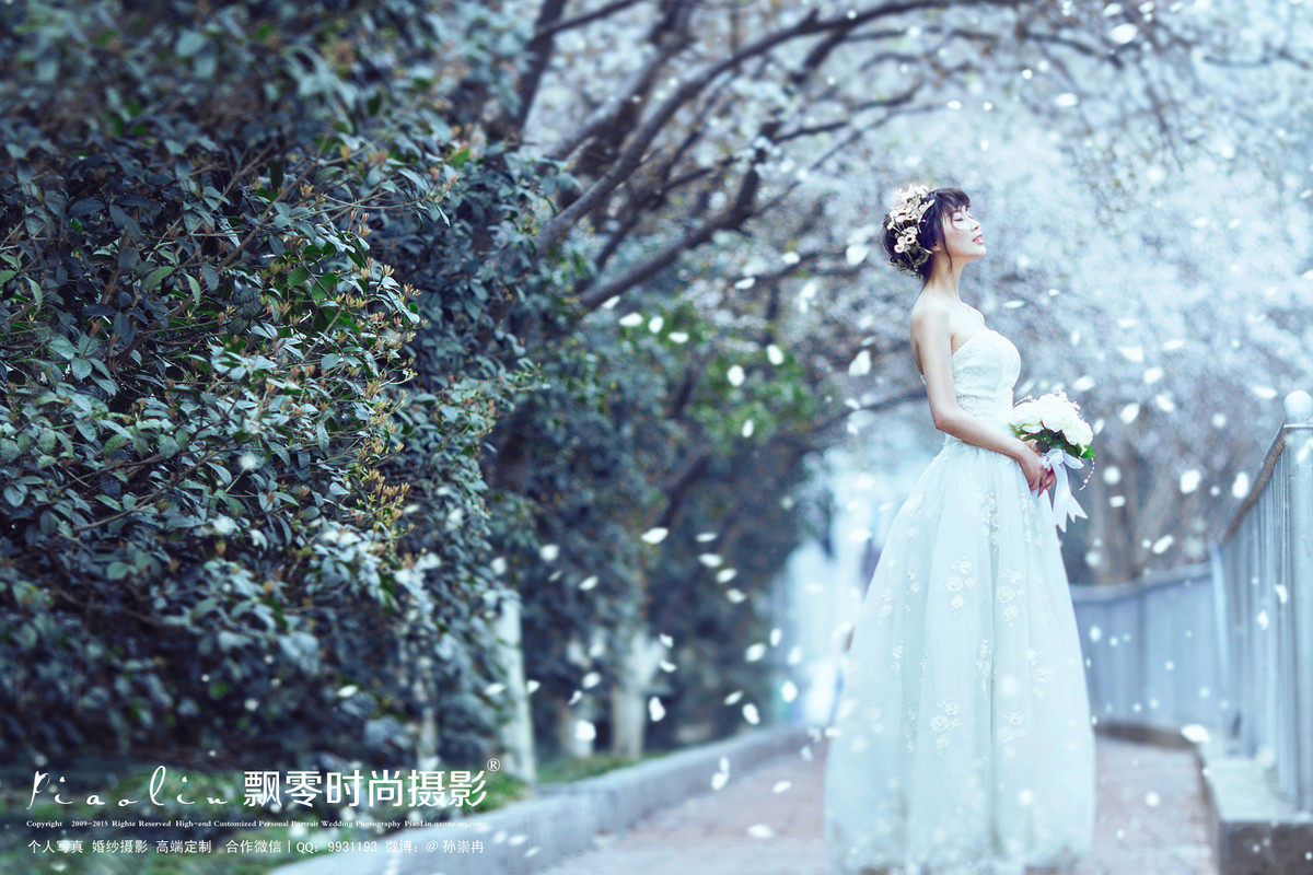 海棠花开的季节—飘零时尚摄影