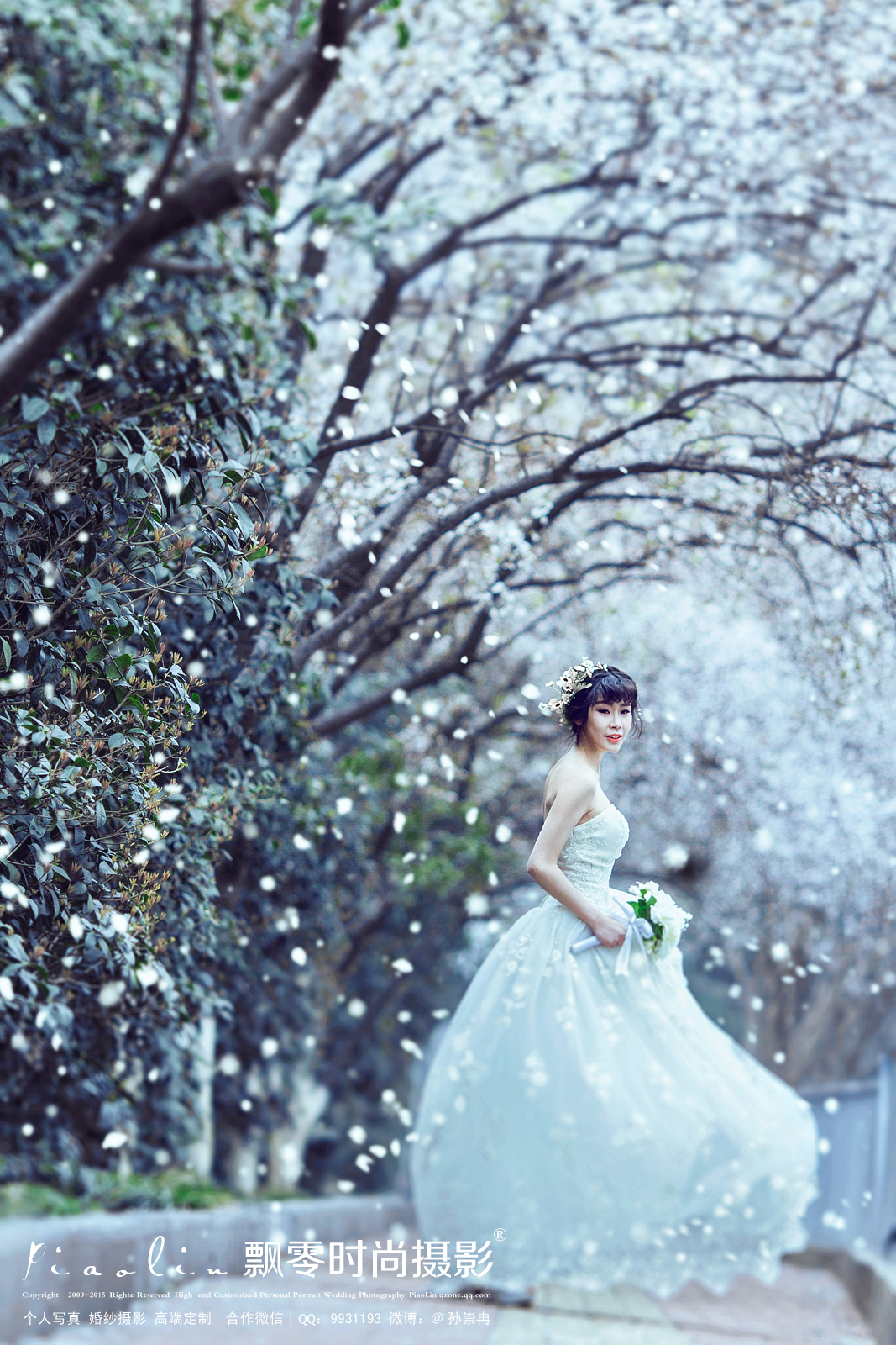 海棠花开的季节—飘零时尚摄影