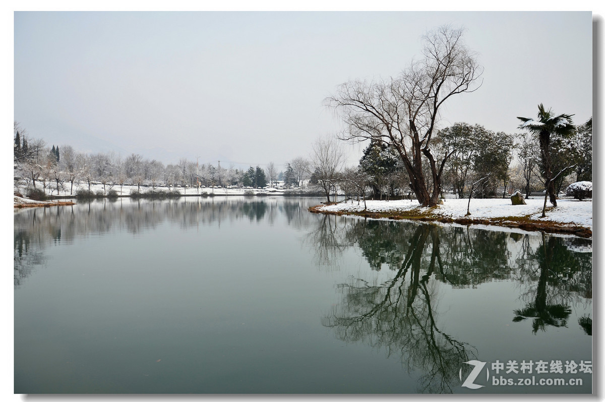 南京珍珠泉雪景-中关村在线摄影论坛