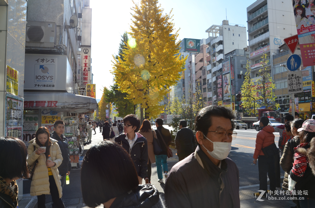 新婚日本本州蜜月之旅