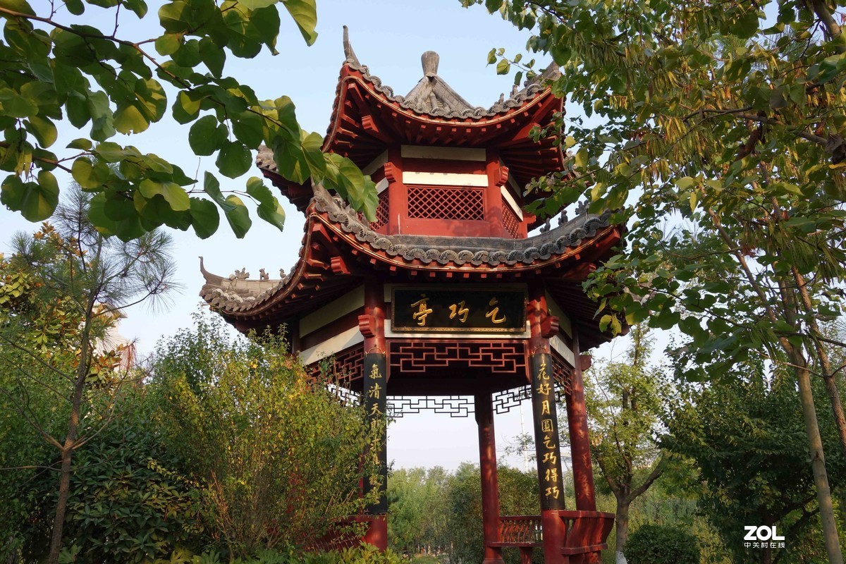 黑卡RX100m2在光线好的时候跟手机拍照无差别