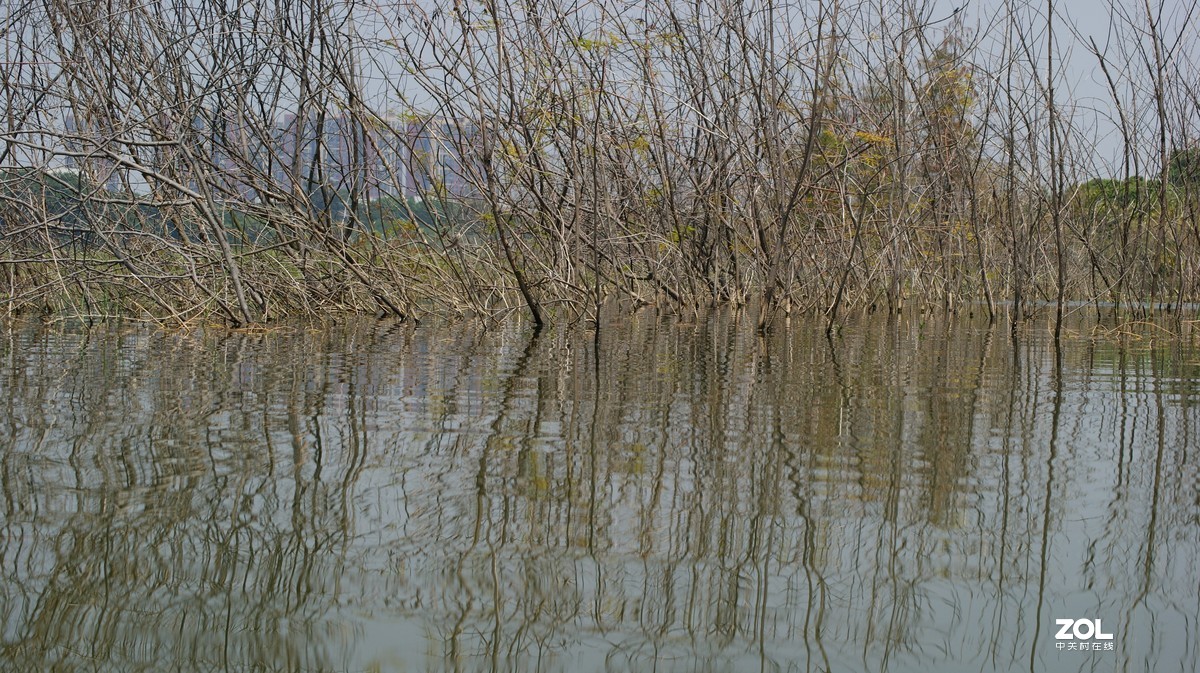 立新湖公园之《湖光粼粼》