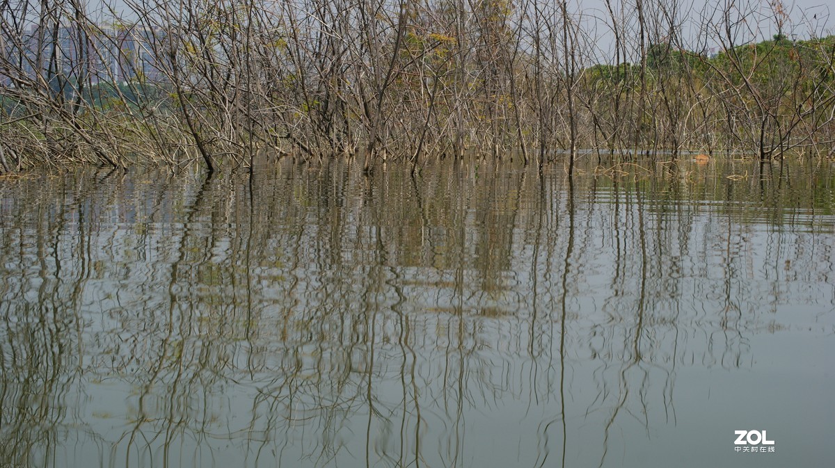 立新湖公园之《湖光粼粼》