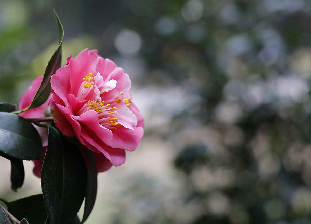 阿焦-----你跑了沒呢?