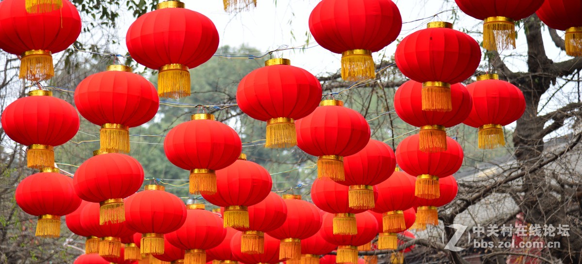 拜年了------贺新春（一）