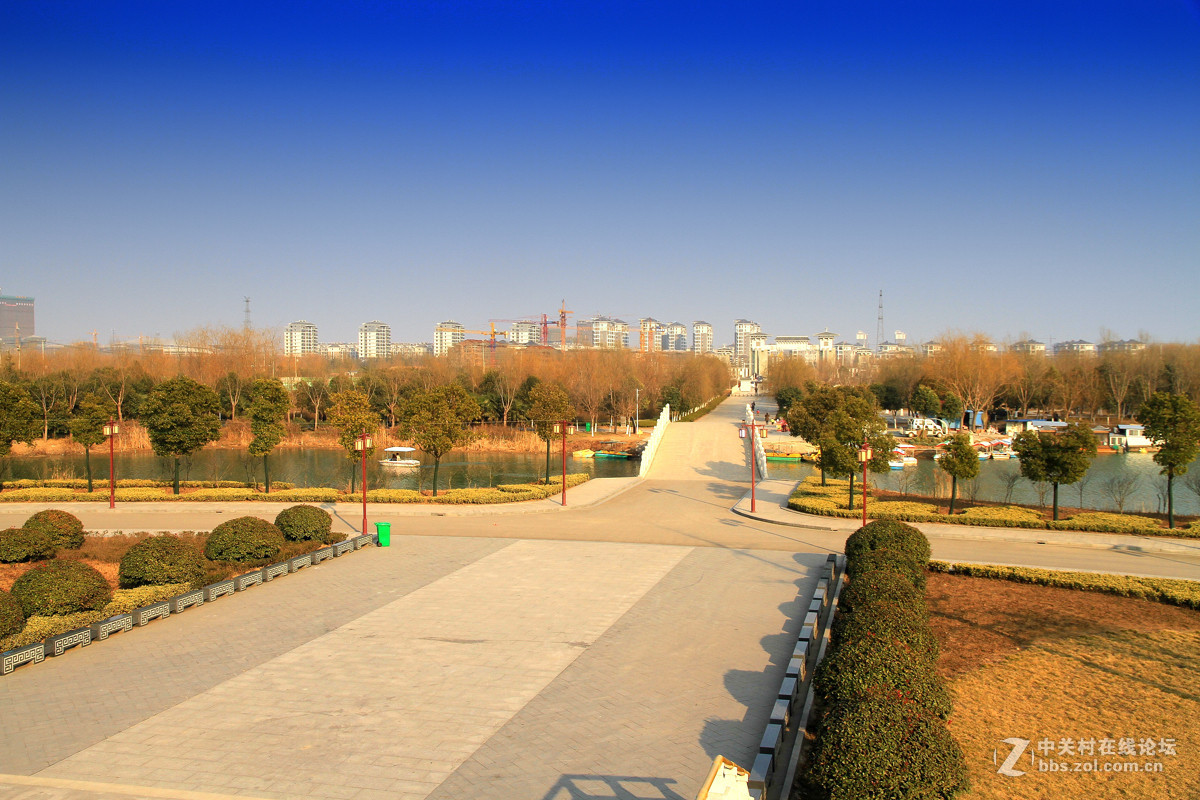 江蘇邳州沙溝湖水杉公園風景三