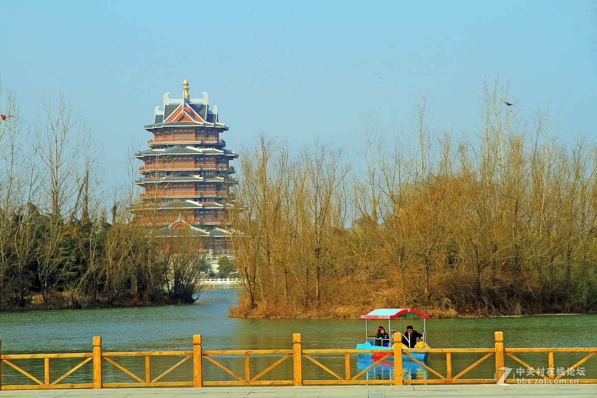 江苏邳州沙沟湖水杉公园风景三