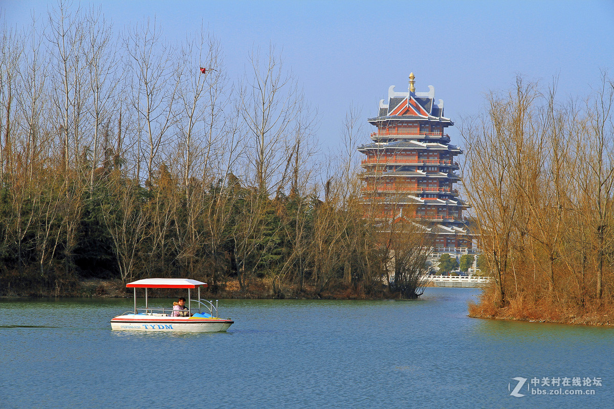 江苏邳州沙沟湖水杉公园风景三