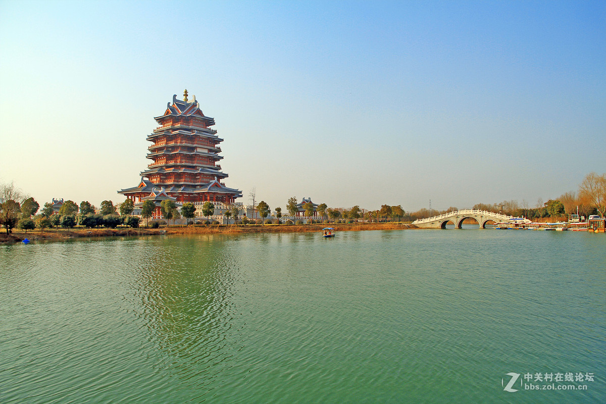 江苏邳州沙沟湖水杉公园风景三