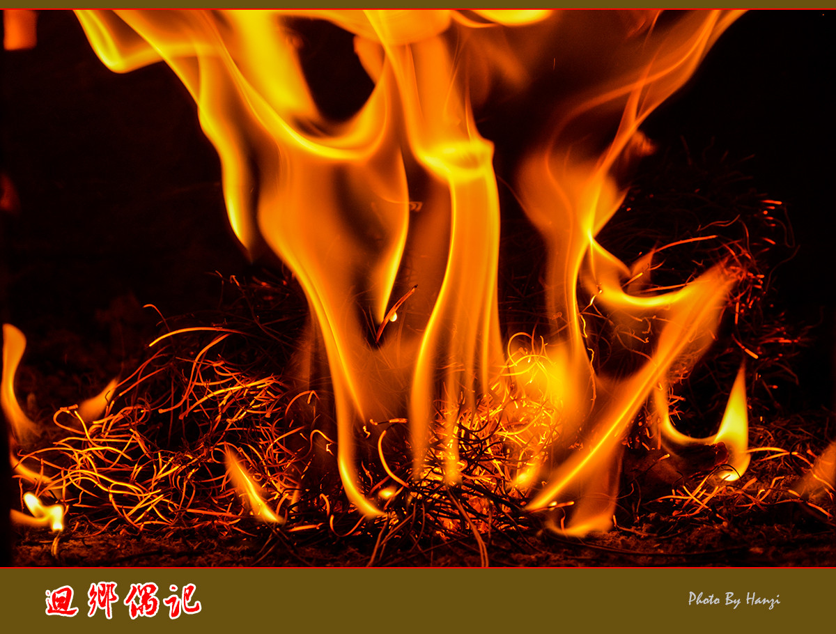 #佳能佳作赏析#  愿天下母亲健康长寿