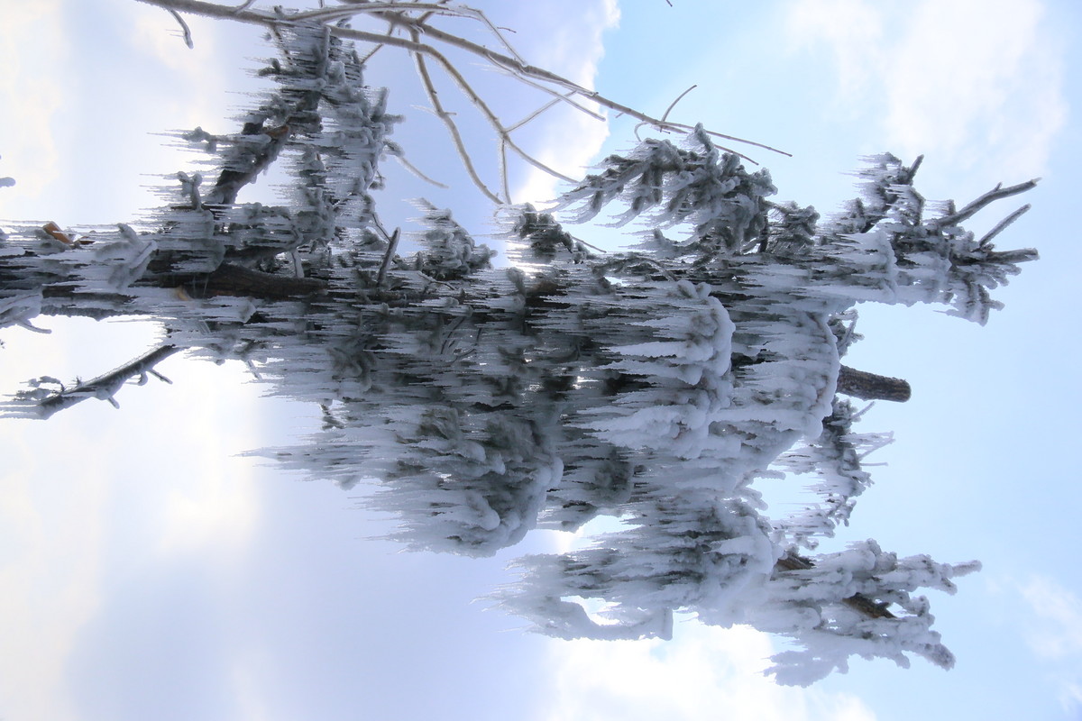 今天随拍一组长白山雪雕，雪景