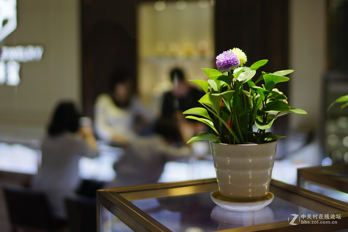 逛珠宝店（FE35/1.4镜头小试）续