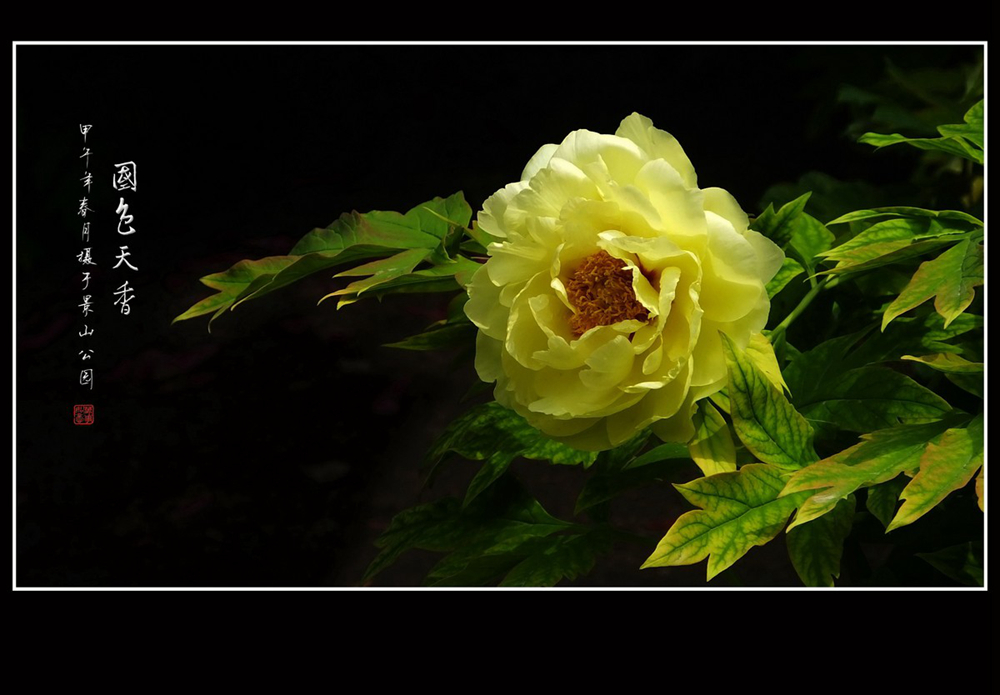 #版主坐堂# 佳能月度精选-2015年1月份优秀作品选编