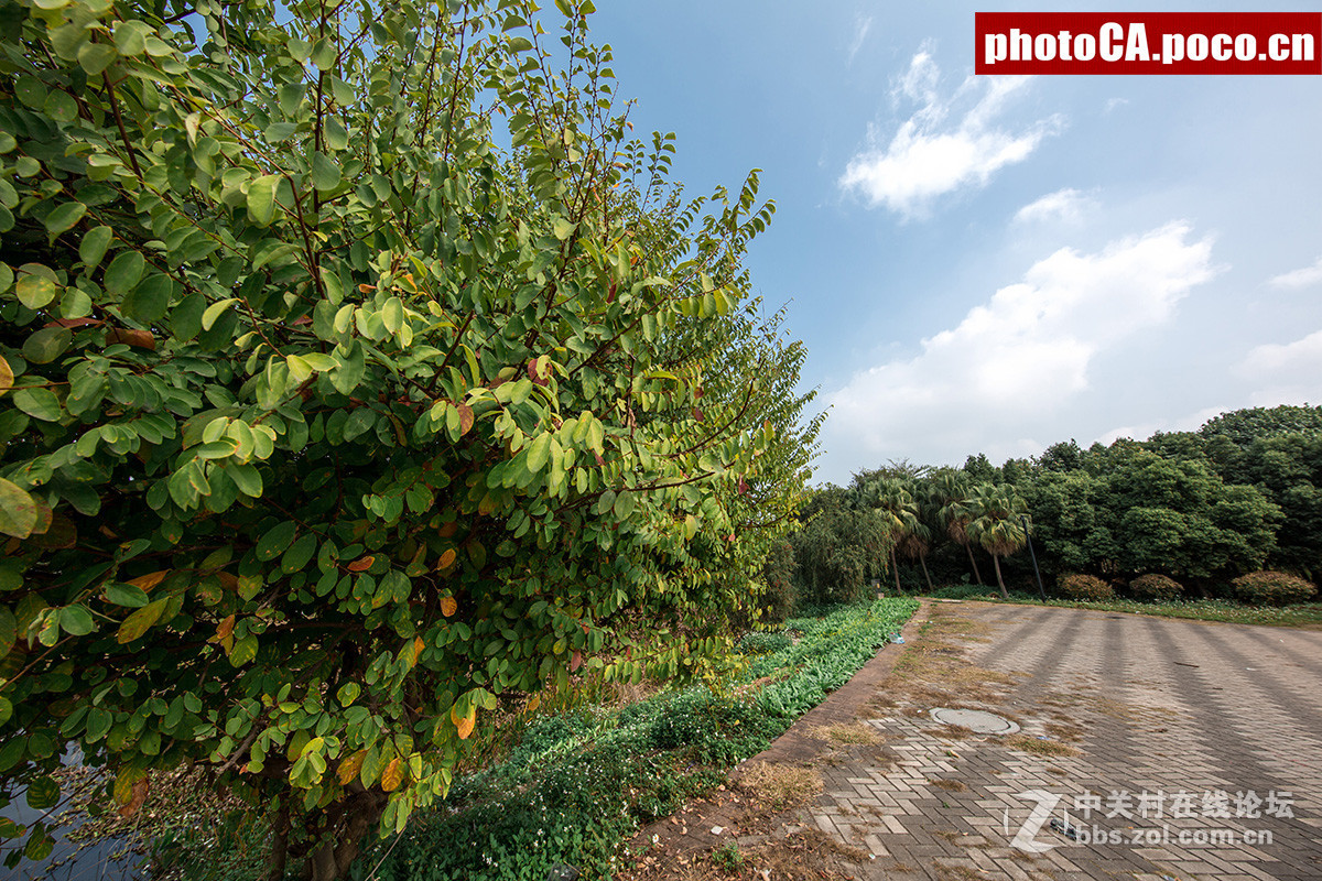 《风之蔚蓝I》--平凡的风景析出壮大的魅力