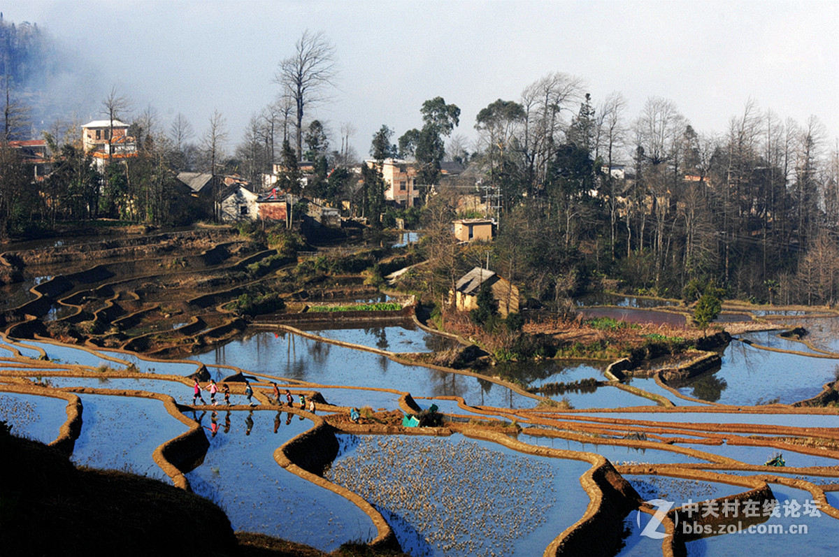 【东川红土地、元阳、弥勒 六日摄影之旅】乐叔走后的元阳一