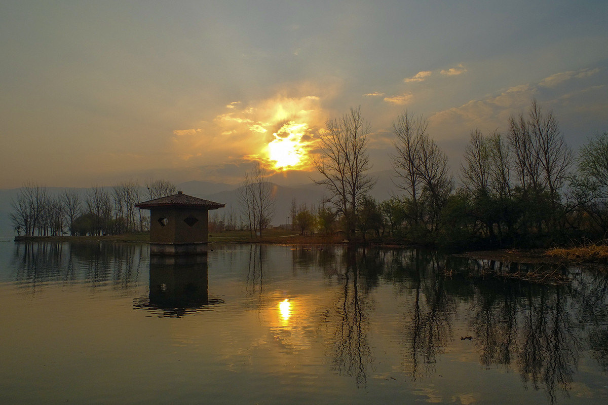湿地晨光