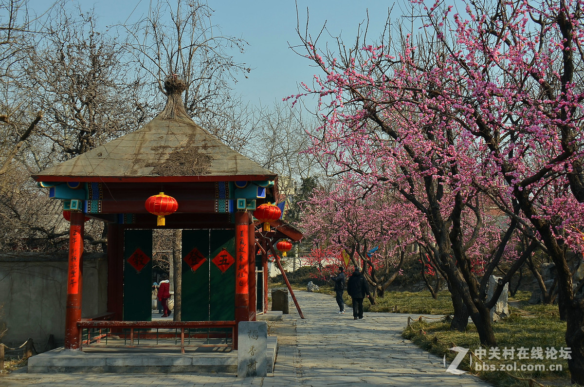 #寻找尼康镜头中的最美中国#《红红火火过大年——北京大观园》