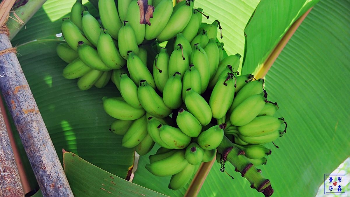 美丽的旅游胜地——马尔代夫（总结篇）