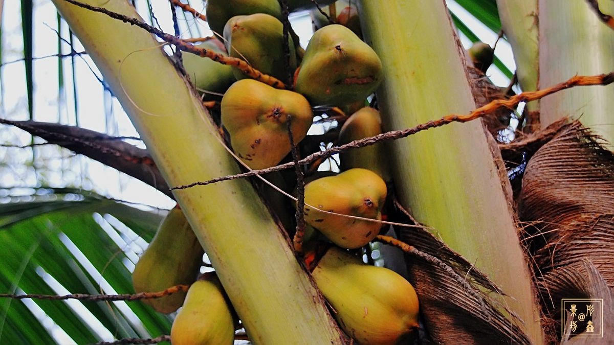 美丽的旅游胜地——马尔代夫（总结篇）