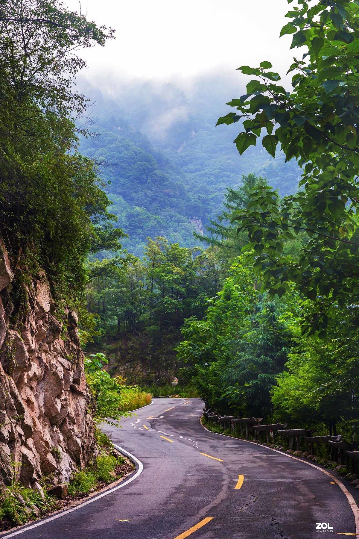 一组西峡老界岭的美拍图片