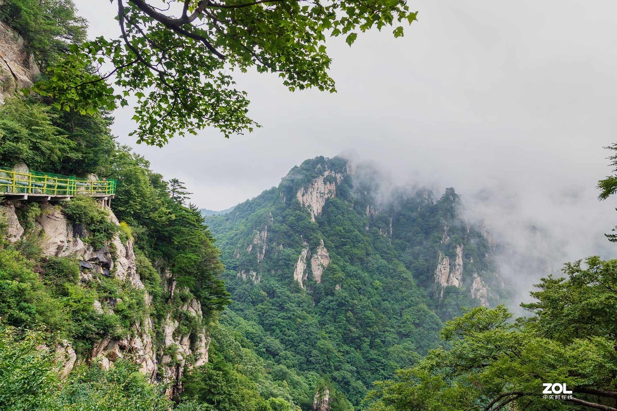 一组西峡老界岭的美拍图片