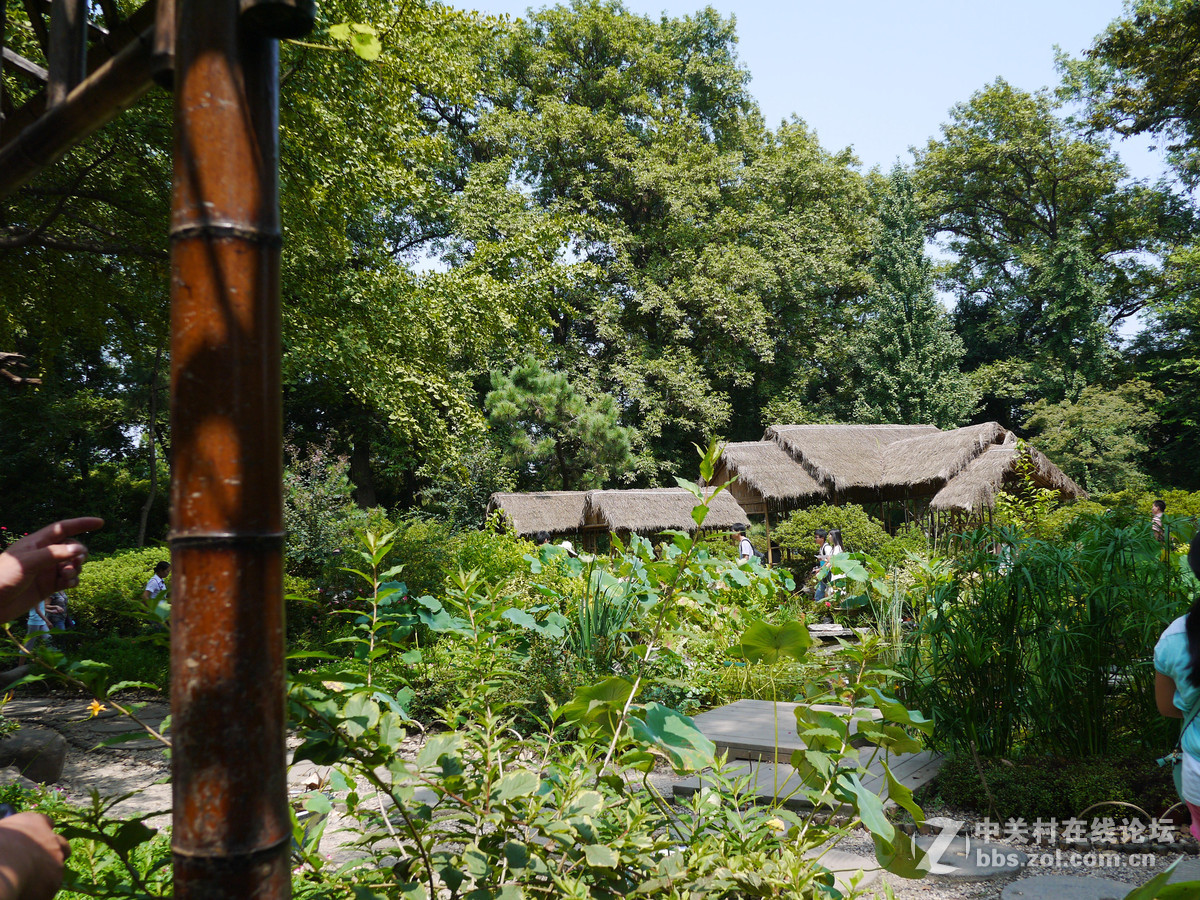 8月游江苏  直出