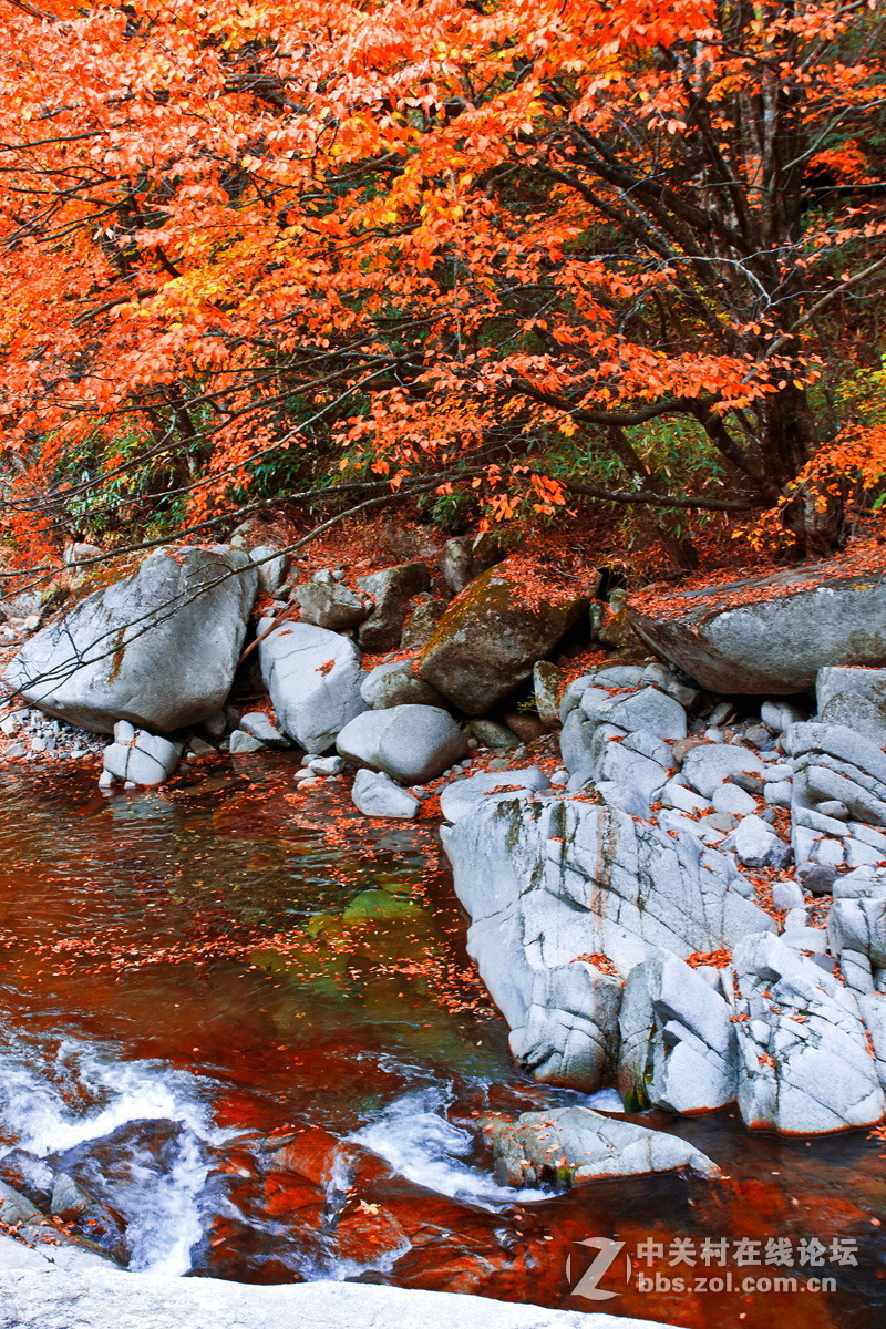光雾山