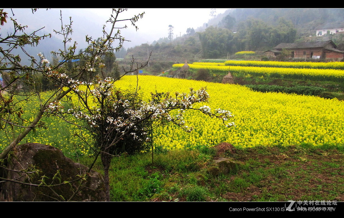 故乡！故乡.......