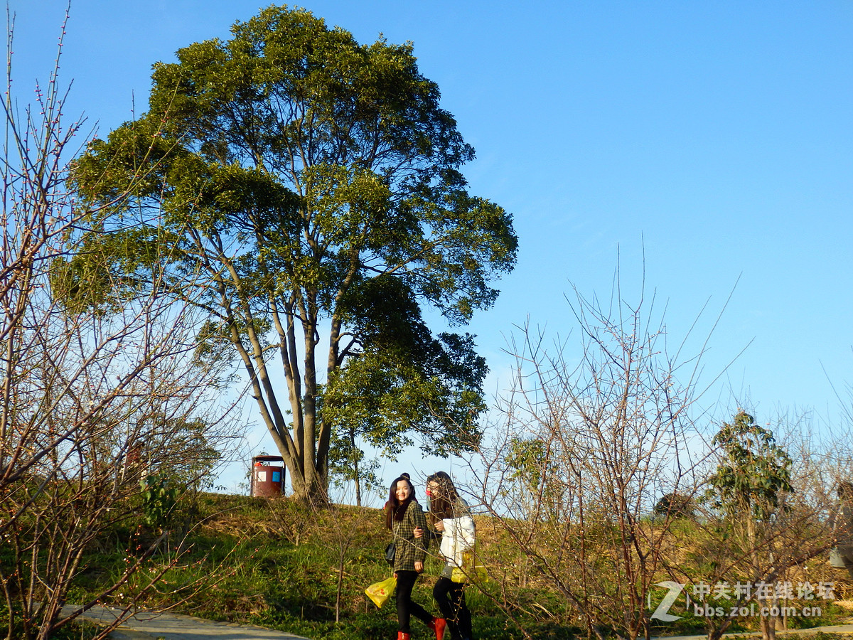 冬季的原生态红花湖风光