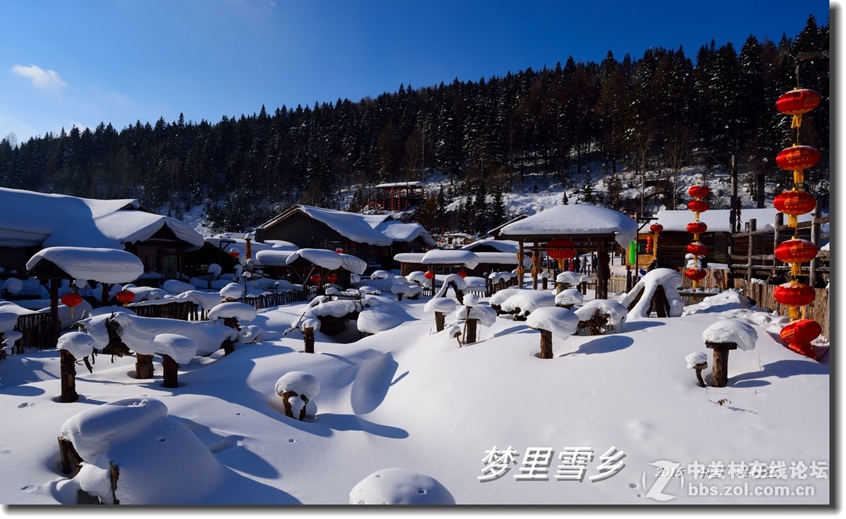 一组杂片——恭贺“连成”老师荣任尼康D750星空(中国)版主！