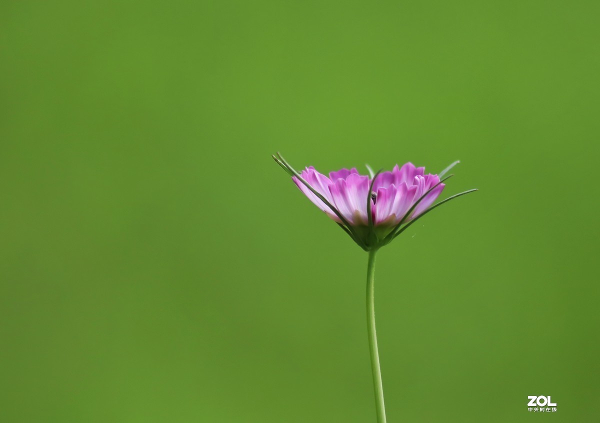 #版主坐堂#  2019年9月《佳能EF 24-105mm f/4L  IS USM镜头》星空(中国)优秀作品选编