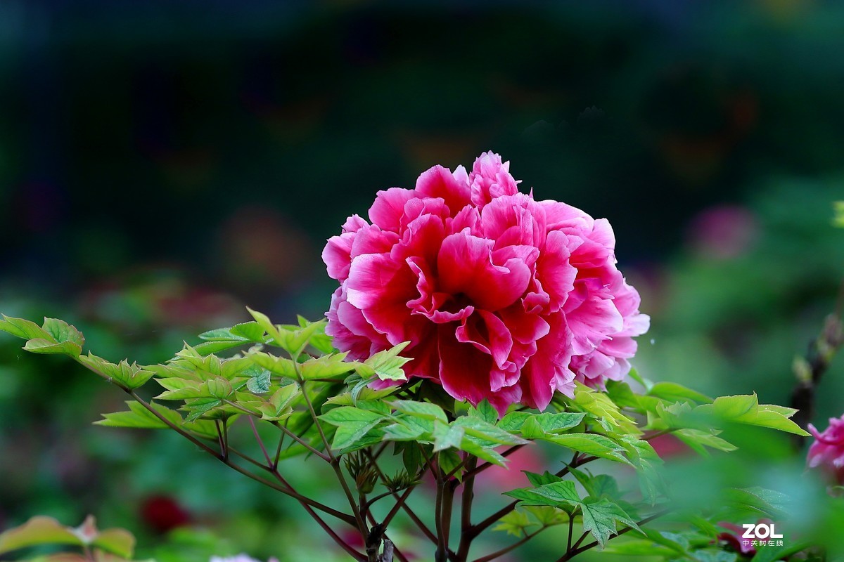 祝祖国生日快乐！繁荣昌盛！