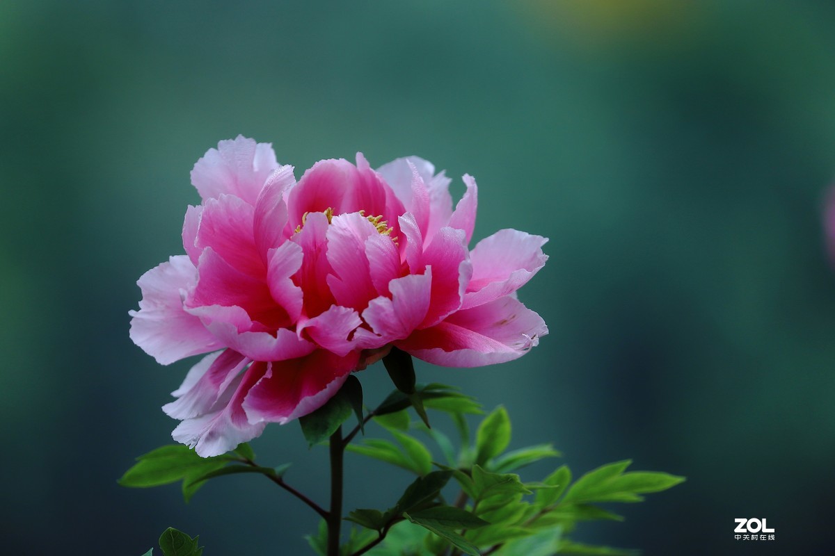 祝祖国生日快乐！繁荣昌盛！