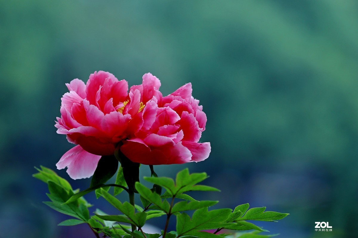 祝祖国生日快乐！繁荣昌盛！