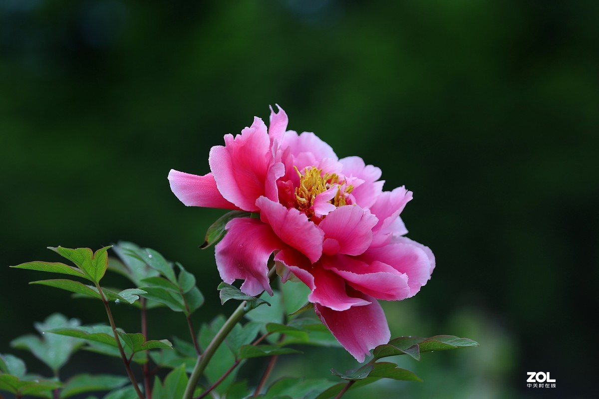 祝祖国生日快乐！繁荣昌盛！