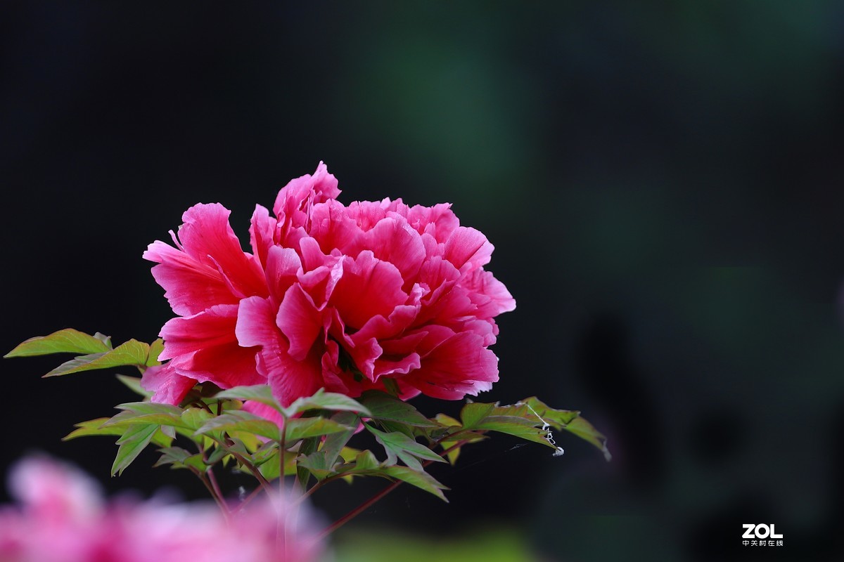 祝祖国生日快乐！繁荣昌盛！