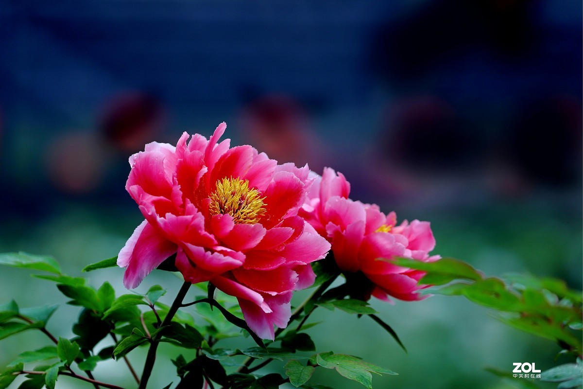 祝祖国生日快乐！繁荣昌盛！