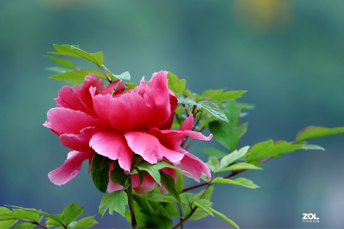 祝祖国生日快乐！繁荣昌盛！