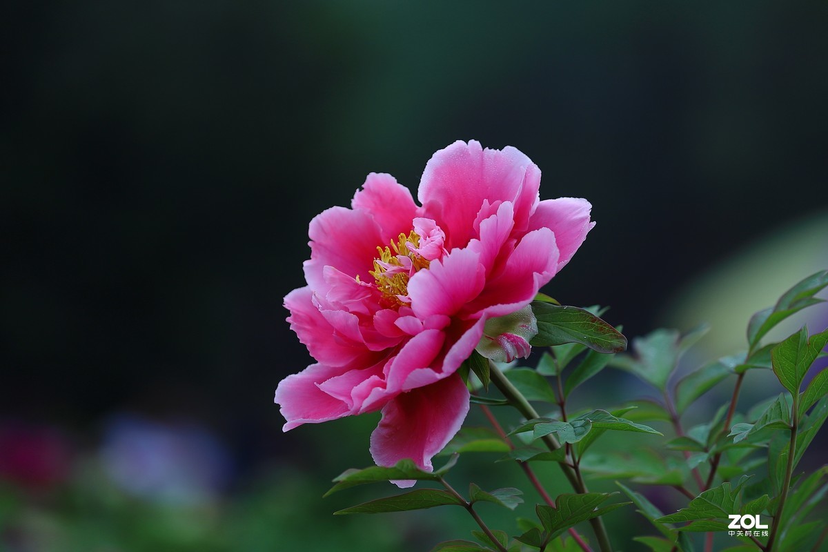 祝祖国生日快乐！繁荣昌盛！